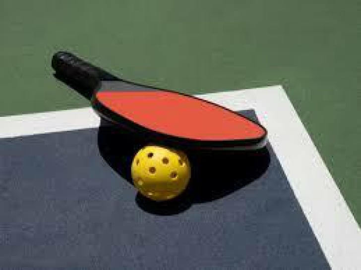 Game On: Claim Your Free WaWa Pickleball Paddle Set Today!