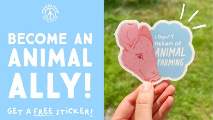 Love Pigs? Get a Free Sticker from Woodstock Farm Sanctuary!