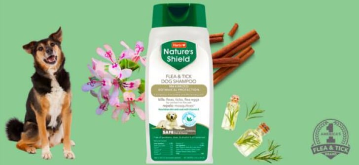 Protect Your Pup for Free! Get Hartz Nature's Shield Flea & Tick Shampoo!