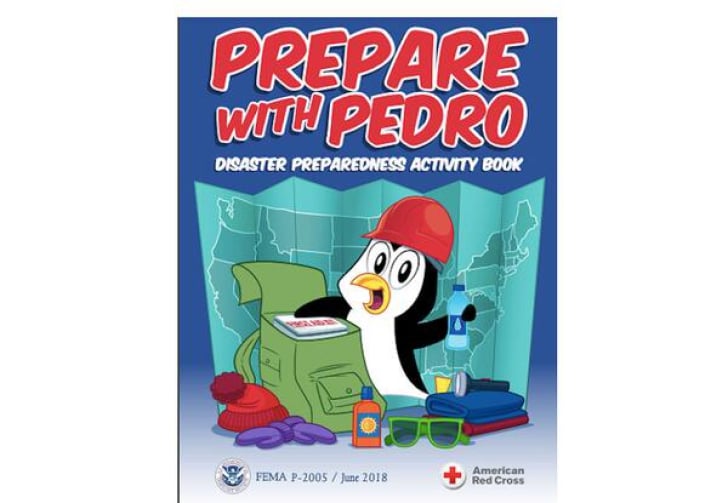 Safety First, Fun Always: FREE Disaster Preparedness Activity Book!